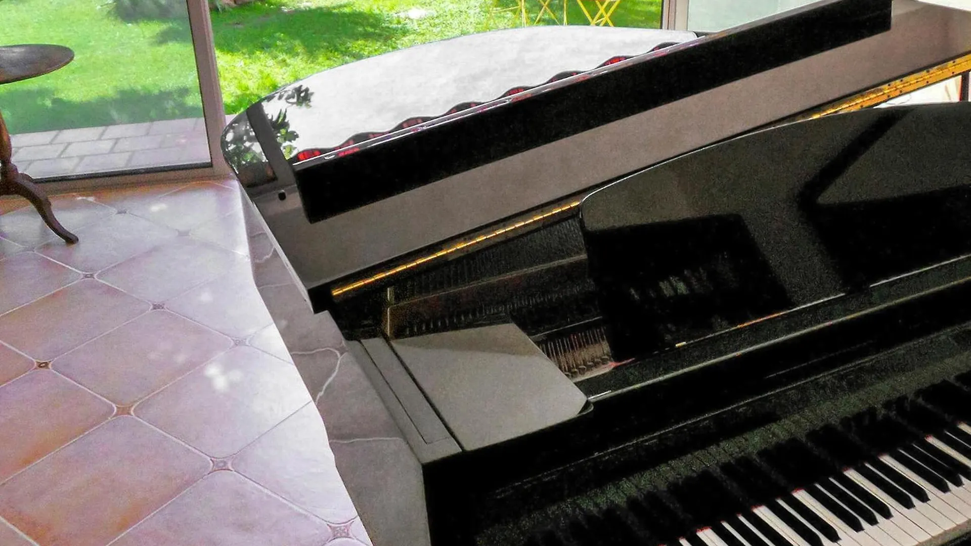 La Musicienne De Paradou